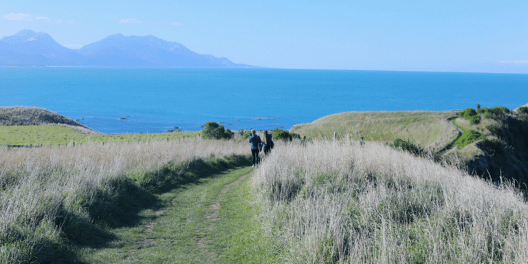 Family-Friendly Day Trips on New Zealand's South Island