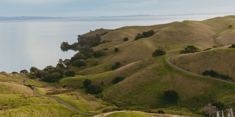 Discovering the Wonders of the North Island, New Zealand