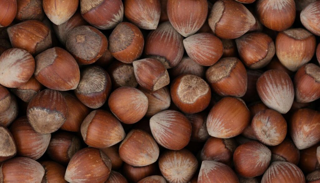 How Drones are Transforming Hazelnut Farming in Oregon