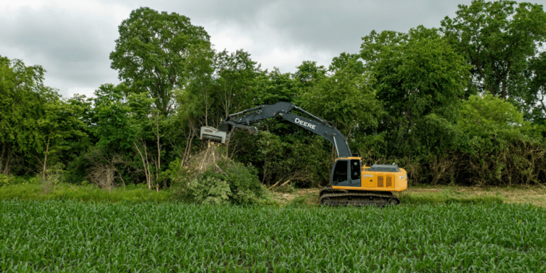 How Tree Removal Can Benefit Your Property