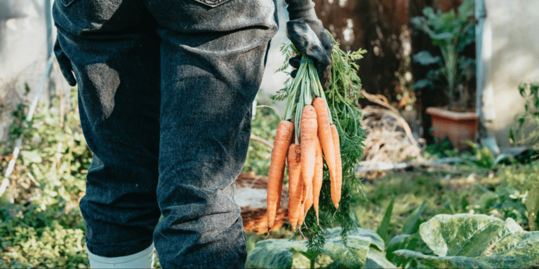 The Power of Adaptability: Navigating Challenges in Agricultural and Business Ventures