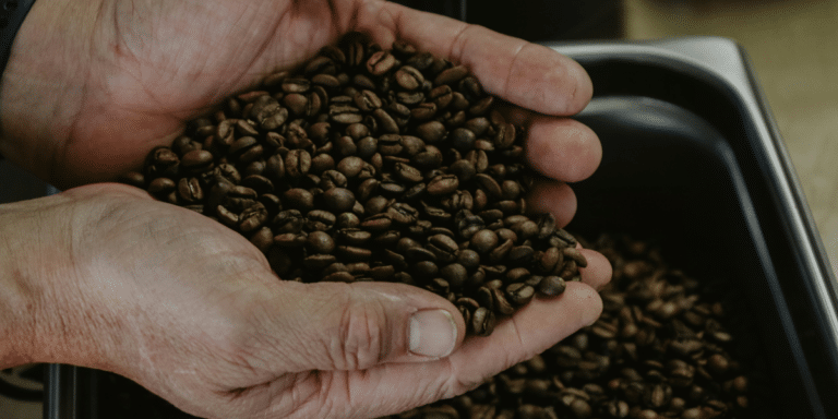 Uganda Coffee Online: A Great Choice for Specialty Coffee Lovers