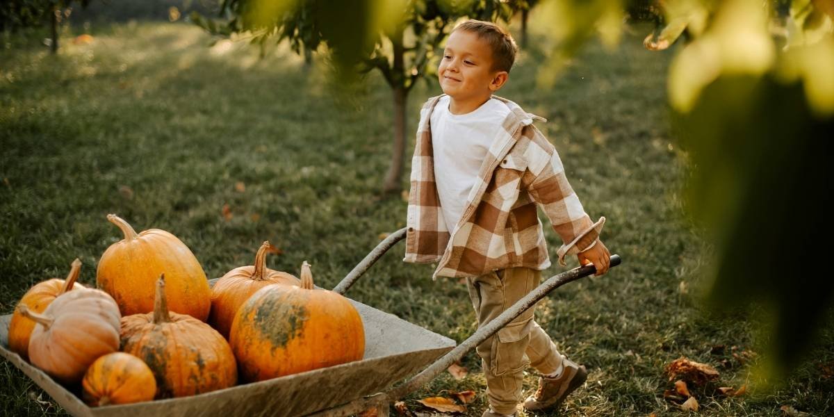 Fall Fun in Portland Must-Visit Pumpkin Patches This Season