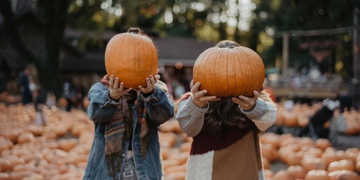 Fall Fun in Portland Must-Visit Pumpkin Patches This Season