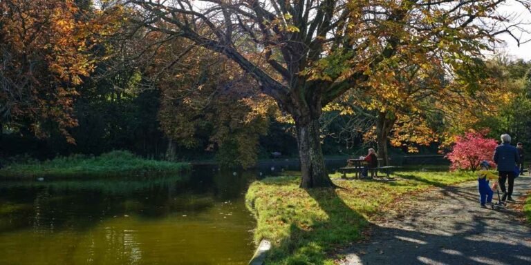 Portland Seeks Private Help for Struggling Parks System