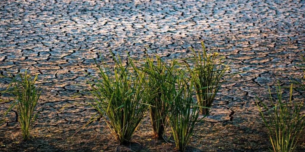 Oregon Expands Drought Emergency to Additional Counties