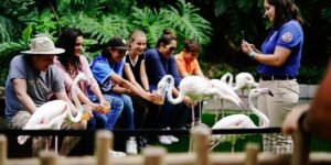 Oregon Zoo to Host 2026 Global Zoo Industry Conference