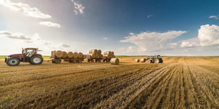Oregon Ranchers Face Rising Costs From Drought and Wildfires