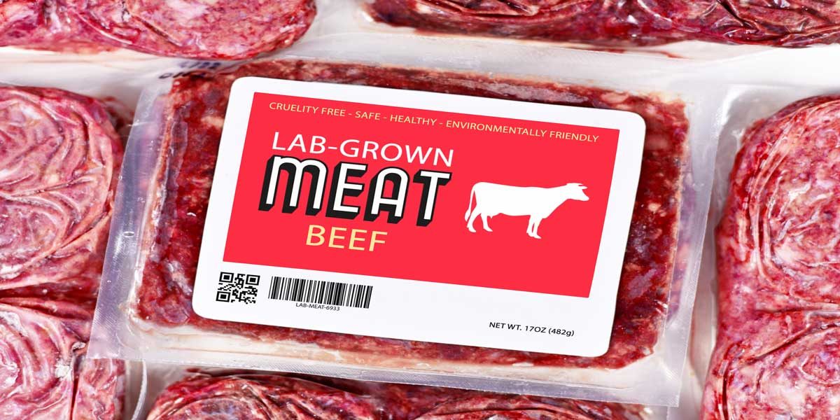 Is the World Ready for Lab-Grown Meat | Portland News