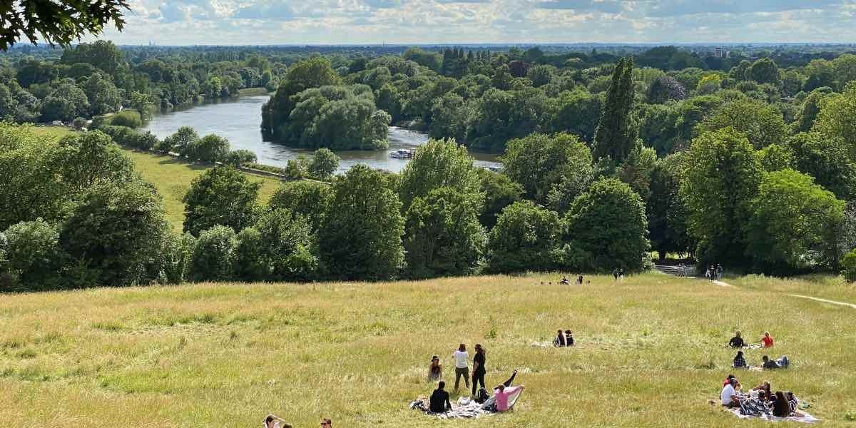 How Forest Park Conservation Boosts Portland’s Eco-Tourism