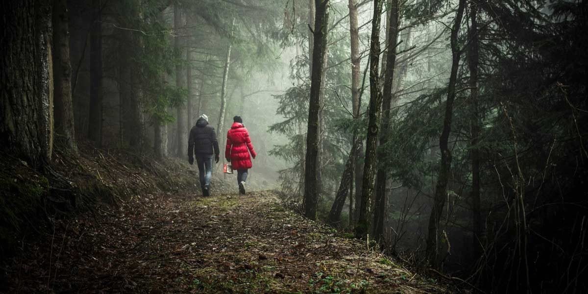 How Power Line Plans Affect Portland Forests