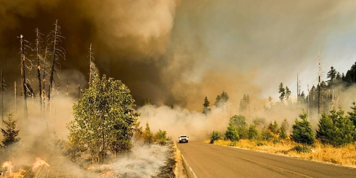Oregon Wildfires Surpass 200,000 Acres After Lightning Fires