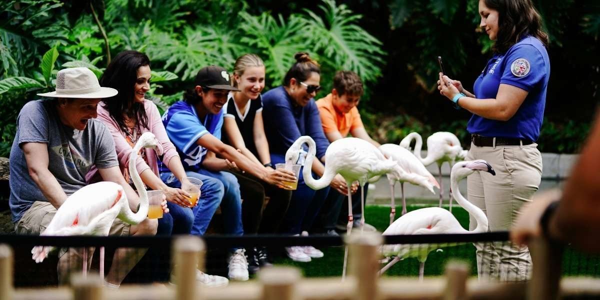 Oregon Zoo to Host 2026 Global Zoo Industry Conference