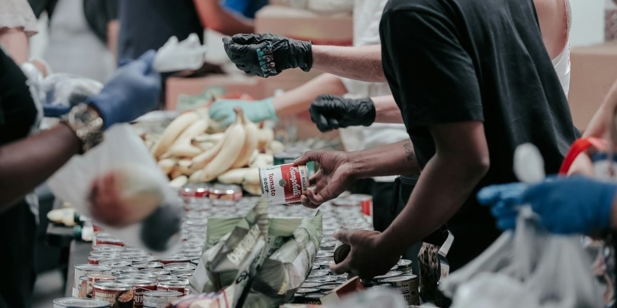 Portland Community Grows Hawaiian Kalo at Oregon Food Bank
