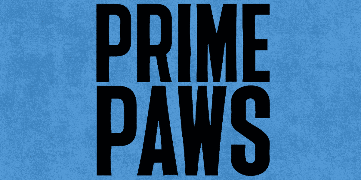 Streets to Treats- How Portland Aided the Start-up of Prime Paws Holistic Dog Treats