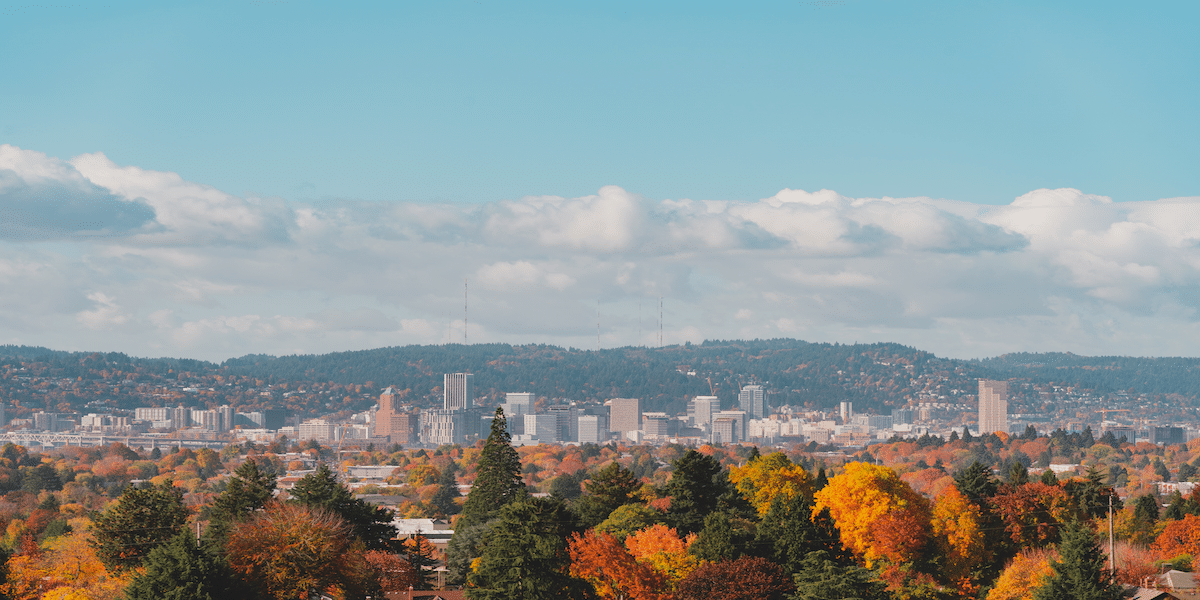 Image commercially licensed from https://unsplash.com/photos/aerial-view-of-buildings-and-trees-during-daytime-fkL_jC8rUGI