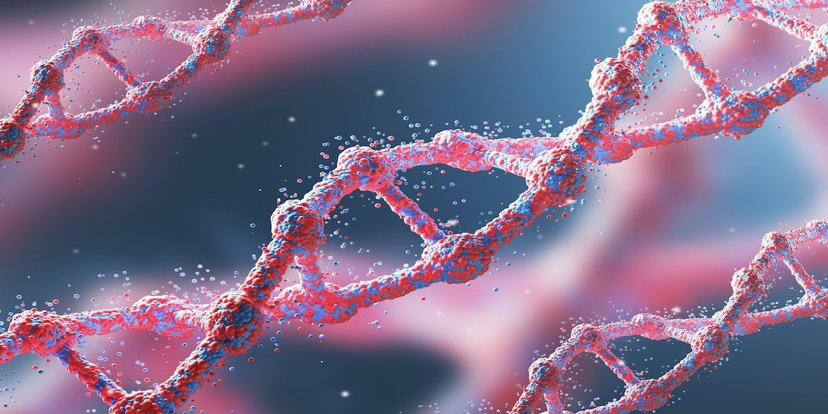 Image commercially licensed from https://unsplash.com/photos/three-red-diagonal-dna-chains-against-dark-blue-background-concept-of-science-3d-rendering-QkhlN7afKIk